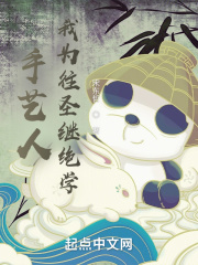 手艺人：我为往圣继绝学在线阅读
