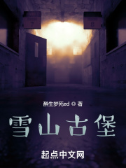 雪山古堡在线阅读