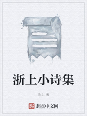 浙上小诗集在线阅读
