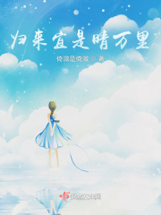 归来宜是晴万里