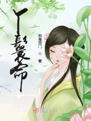 丫鬟命在线阅读
