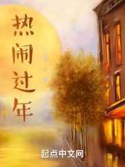 热闹过年在线阅读