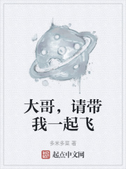 大哥，请带我一起飞在线阅读