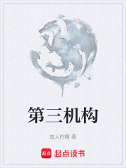 第三机构在线阅读