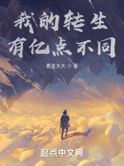 我的转生有亿点不同在线阅读