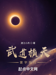 武道横天，寰宇独行在线阅读