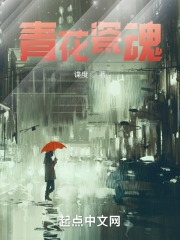 青花瓷魂在线阅读