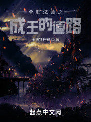 全职法师之成王的道路在线阅读