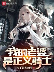 我的老婆是正义骑士在线阅读