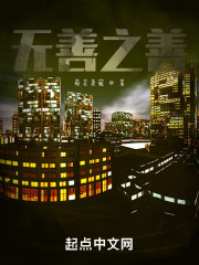 无善之善在线阅读