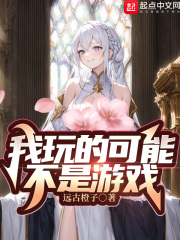 我玩的可能不是游戏