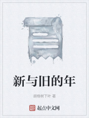 新与旧的年在线阅读