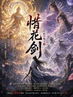 惜花剑封面