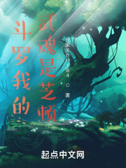 斗罗我的武魂是芝顿在线阅读