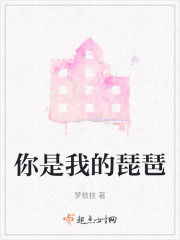 你是我的琵琶在线阅读