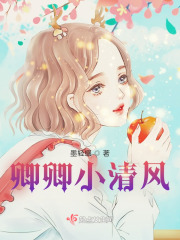 卿卿小清风在线阅读