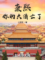 康熙，你的大清亡了封面