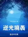 逆光境袭在线阅读