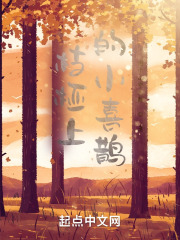 枝桠上的小喜鹊在线阅读