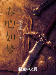 赤心如梦在线阅读