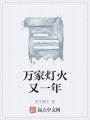 万家灯火又一年在线阅读