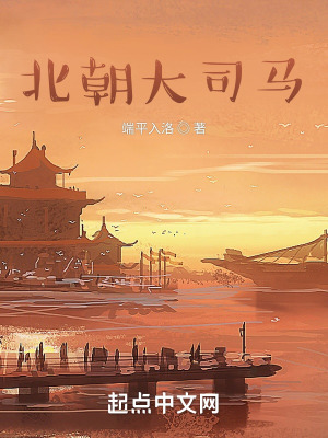 北朝大司马在线阅读