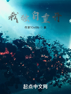 我独自重开在线阅读