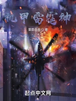 机甲雷霆神在线阅读