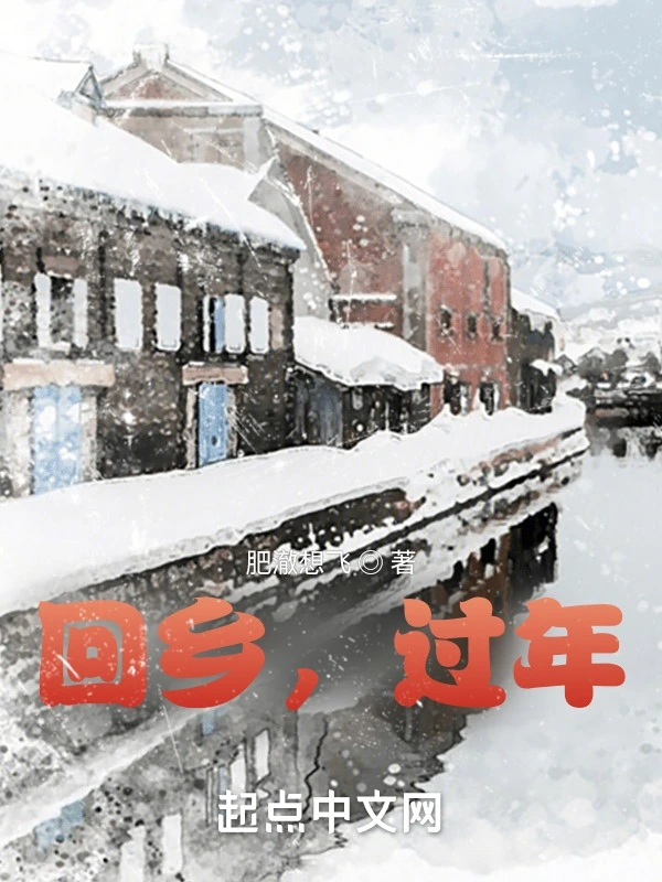 回乡，过年