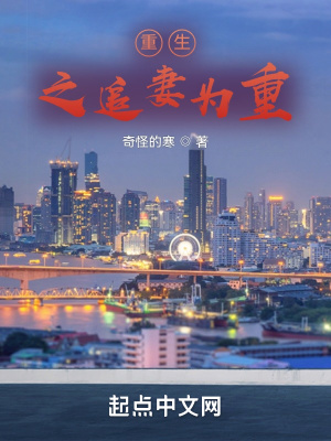 重生之追妻为重在线阅读