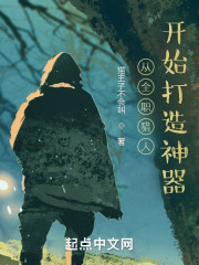 从全职猎人开始打造神器在线阅读