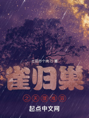雀归巢之天理难容在线阅读