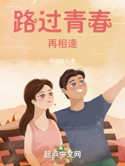 路过青春再相逢在线阅读