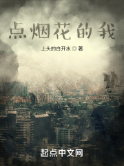 点烟花的我在线阅读
