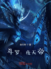 斗罗：夜天帝