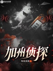 加州侦探在线阅读