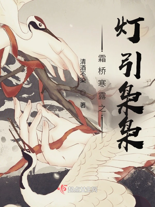 霜桥寒露之灯引枭枭