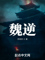 魏逆封面