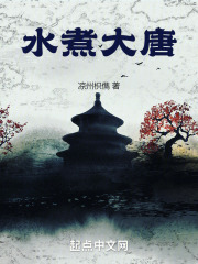 水煮大唐在线阅读