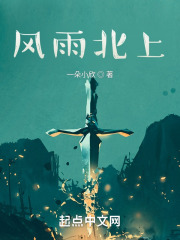 风雨北上在线阅读
