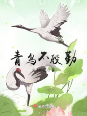 青鸟不殷勤在线阅读