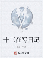 十三在写日记在线阅读