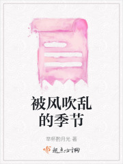 被风吹乱的季节在线阅读