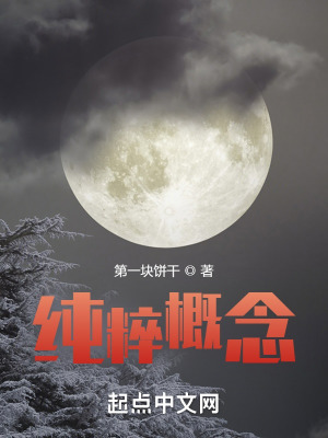 纯粹概念在线阅读