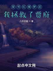 穿书红楼梦后，我拯救了贾府在线阅读