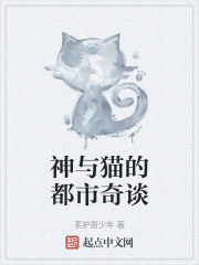 神与猫的都市奇谈在线阅读