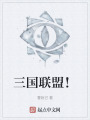 三国联盟！在线阅读
