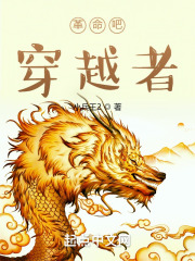 革命吧，穿越者在线阅读