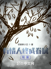 有情人终成眷属短篇在线阅读