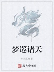 梦巡诸天在线阅读